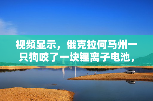 视频显示，俄克拉何马州一只狗咬了一块锂离子电池，引发了一场房屋火灾